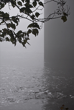 Fog #12