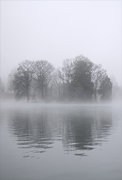 Fog #13