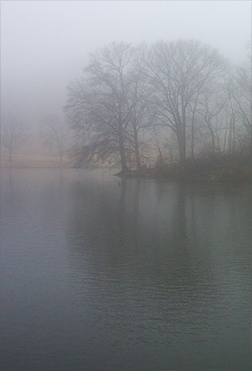 Fog #14