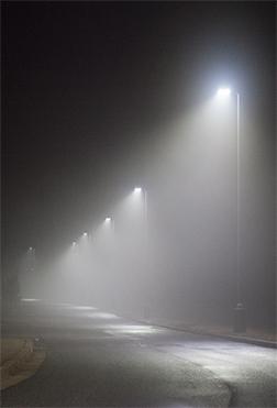 Fog #16