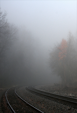 Fog #2