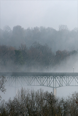 Fog #3