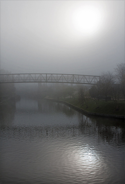 Fog #7