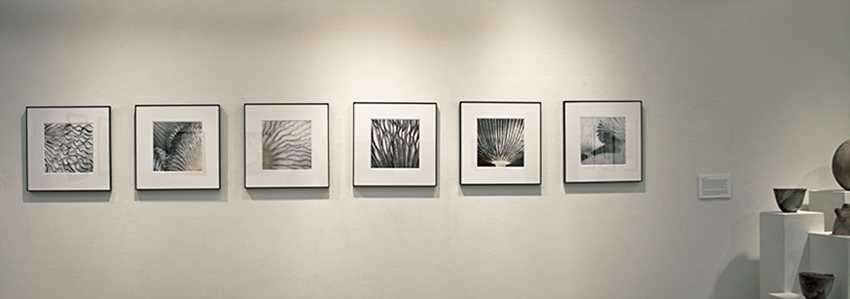 Artspace Gallery, 2016 Members' Biennial Exhibition. All 18 works were shown in a solo show at the Richmond Public Library, Gellman Room, 2016.